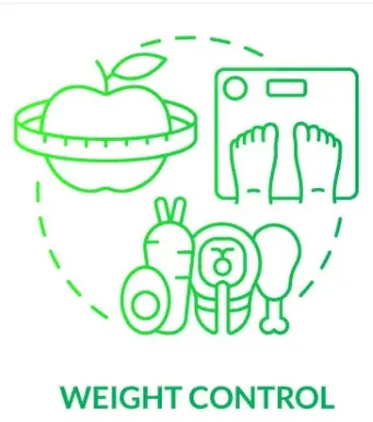 Weight Loss Plan